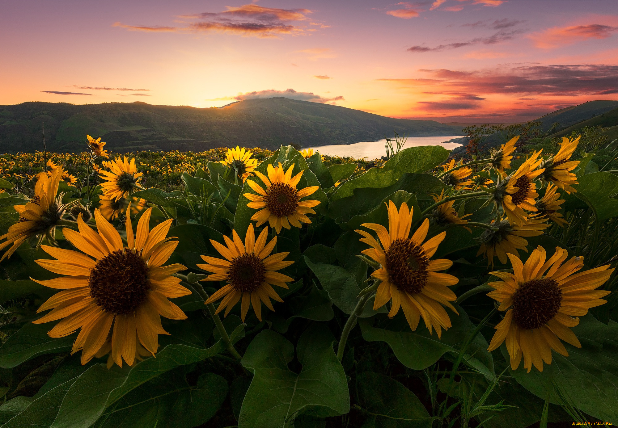 , , , columbia, river, , , -, , , , , rowena, , , oregon, tom, mccall, preserve, , gorge, , 